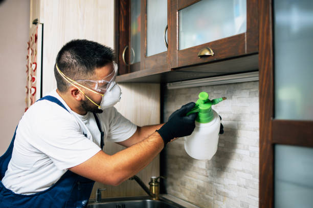 Best Cockroach Control Services  in Palm Coast, FL