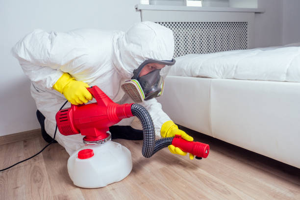 Best Residential Pest Control  in Palm Coast, FL