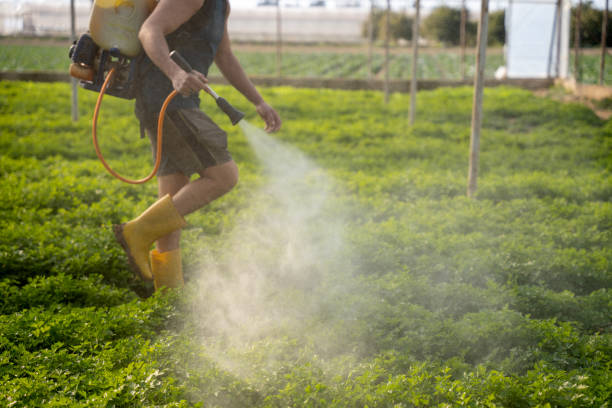Reliable Palm Coast, FL Pest Control Solutions