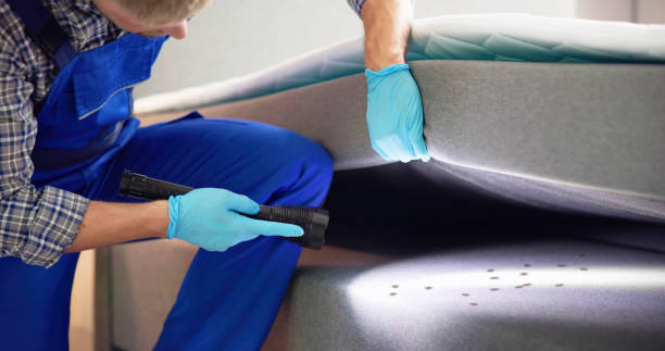 Best Best Pest Control Companies  in Palm Coast, FL
