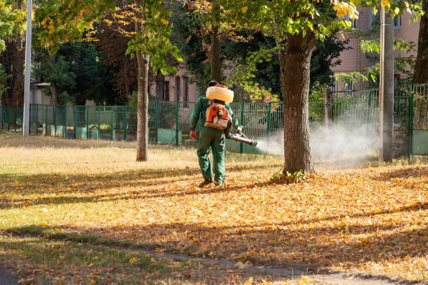 Best Pest Prevention Services  in Palm Coast, FL