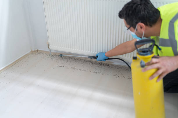 Best Emergency Pest Control  in Palm Coast, FL